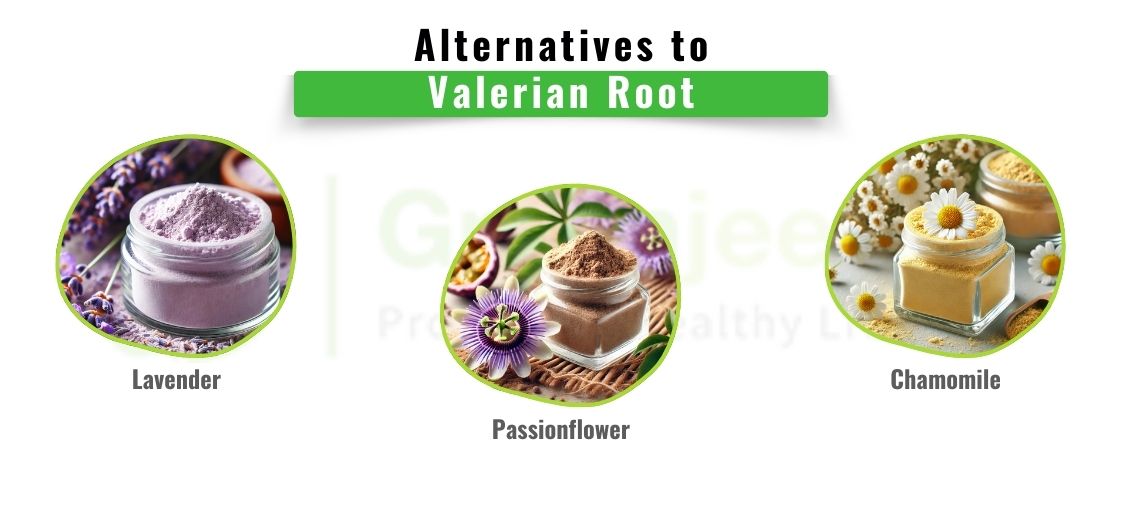 Valerian Extract in B2B Markets